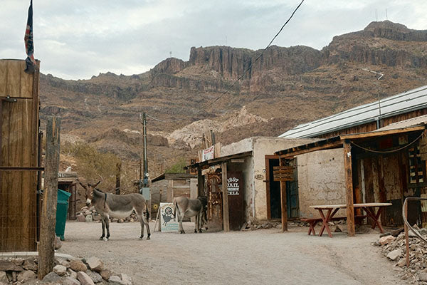 Image of Oatman, AZ by Simon Hermans