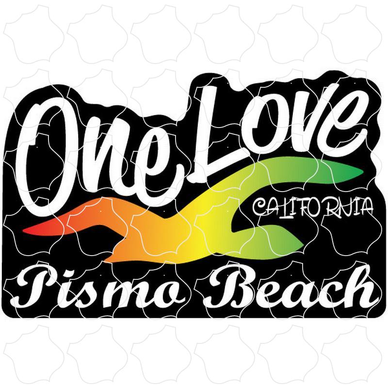 Pismo Beach, CA Colorful Sea Gull