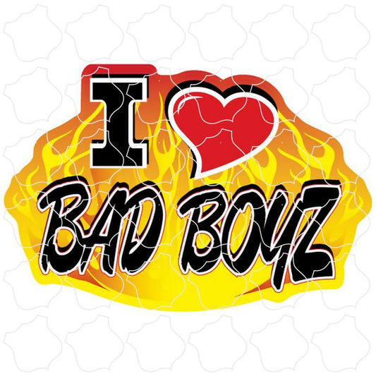 Novelty I Love Bad Boyz