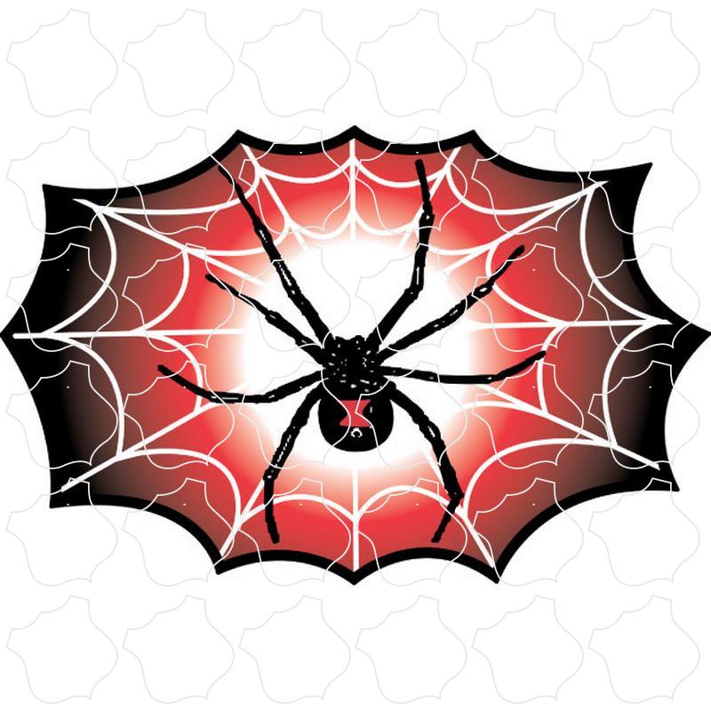 Novelty Spider & Web