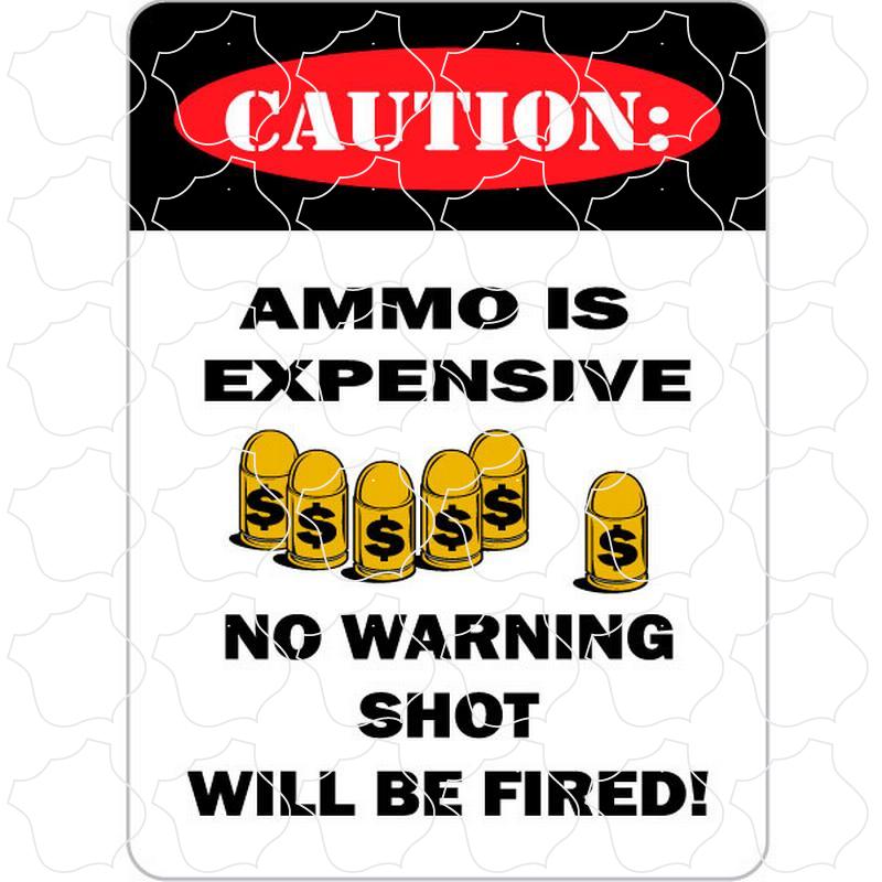 Ammo Expensive Ammo Is Expensive