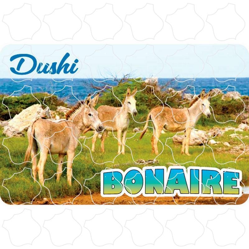 Bonaire Dushi Donkey Photo