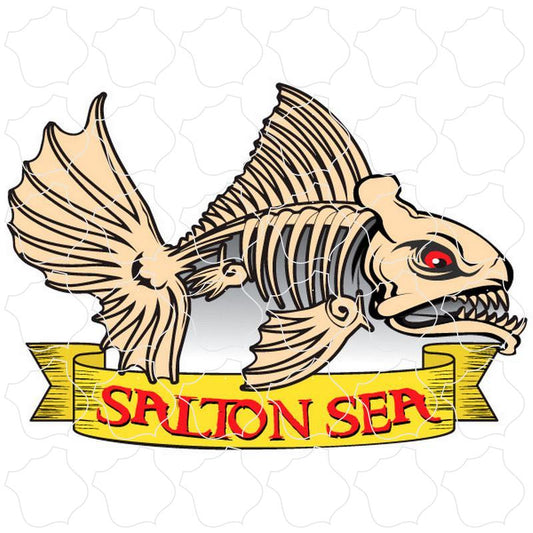 Salton Sea Fish Skeleton