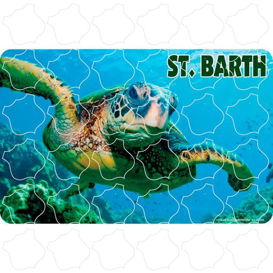 St. Barth, FWI Green Sea Turtle Photo