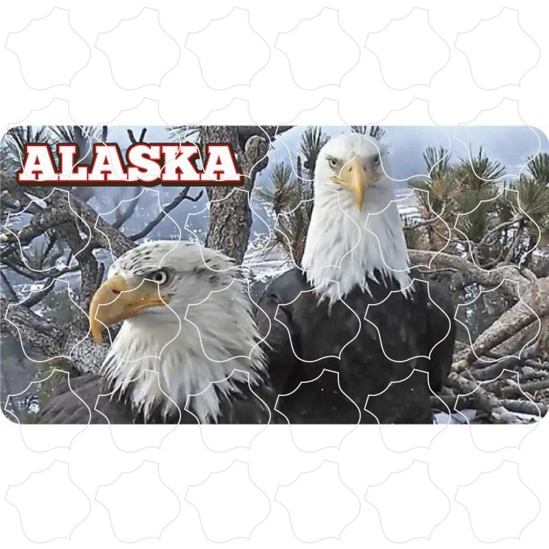 Eagles Photo Alaska Eagles Photo