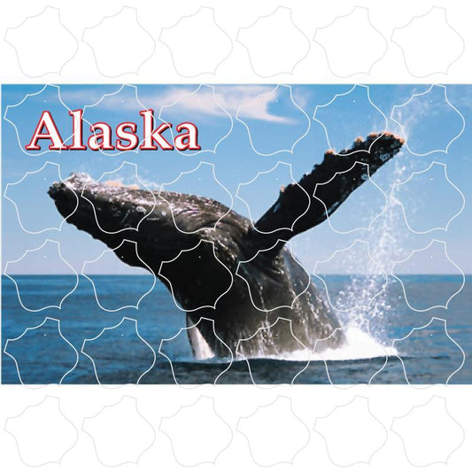 Whale Jumping Photo Alaska Whale Photo