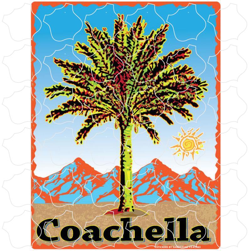 Date Tree Coachella, CA Date Palm Tree