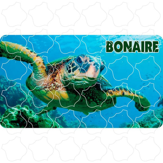 Bonaire Green Sea Turtle Photo