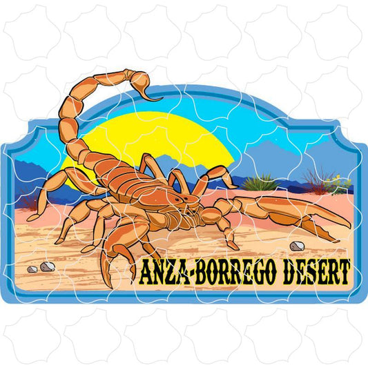 Anza Barrego Desert Desert Southwest Scorpion