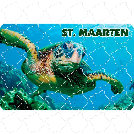 St Maarten Green Sea Turtle Photo