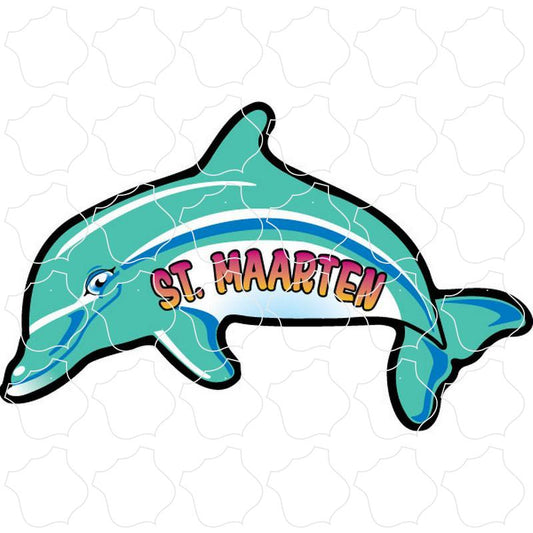 St Maarten Dolphin