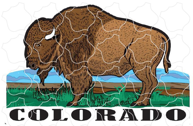 Colorado Buffalo