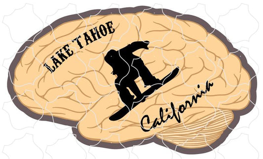 Lake Tahoe CA Brain Snowboarder Lake Tahoe CA Brain Snow Boarder