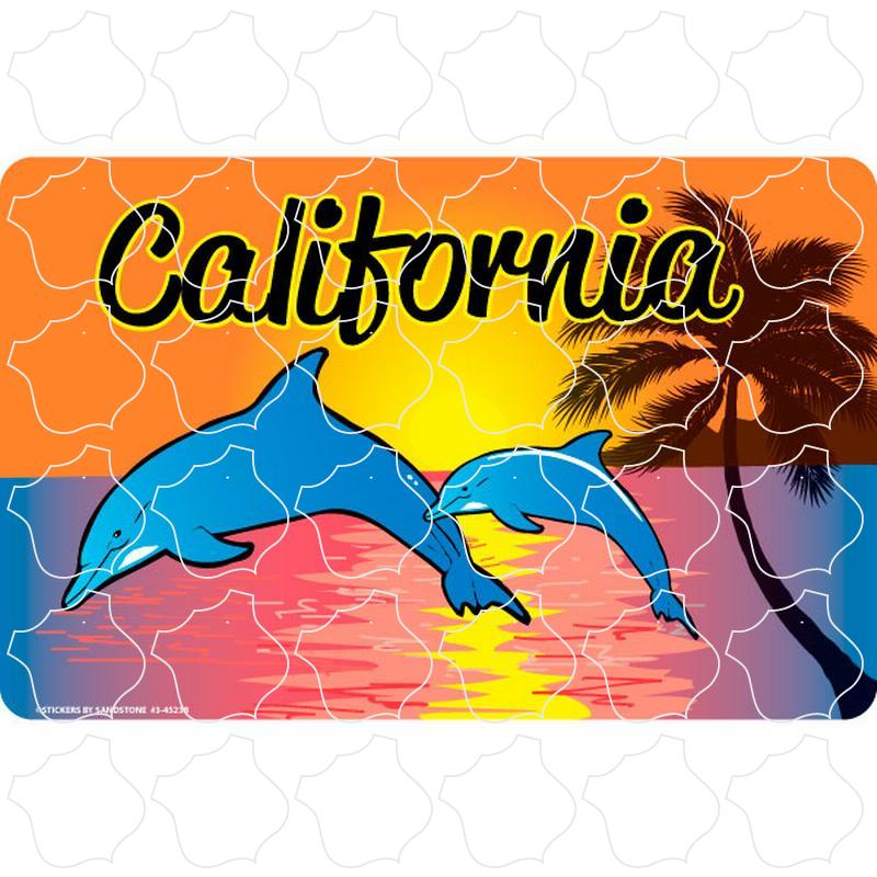 California Two Dolphins