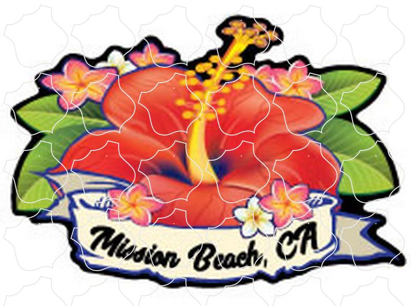 Hibiscus Flower Mission Beach, CA Hibiscus Flower