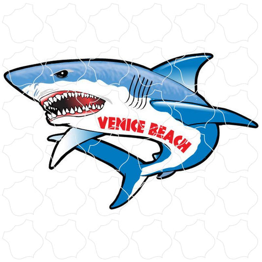 Venice Beach Shark Full View