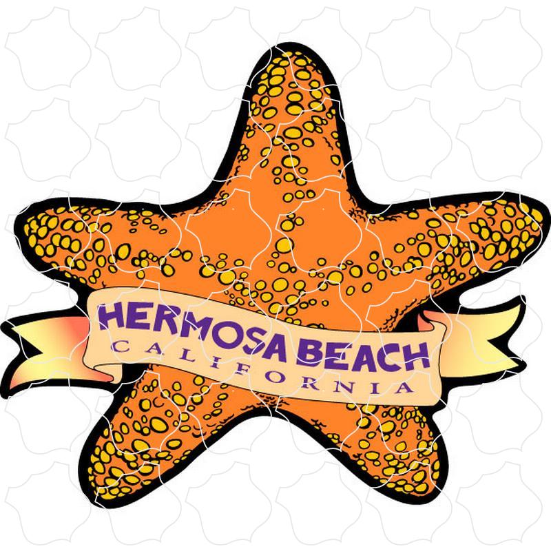 Starfish Hermosa Beach, CA Starfish