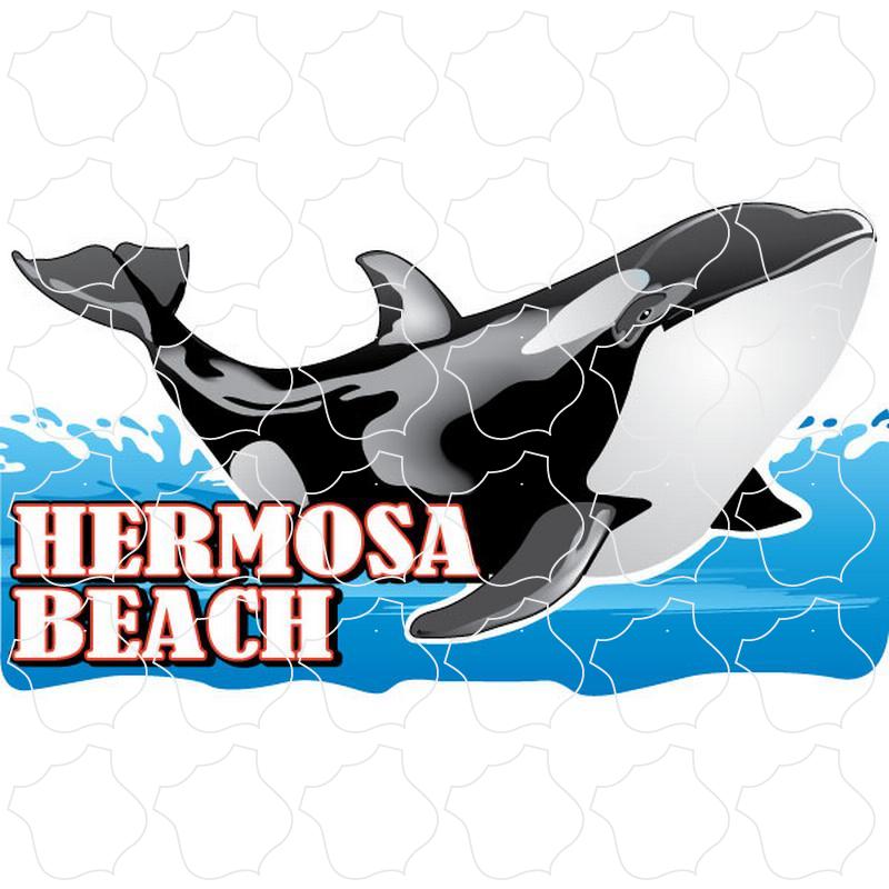Hermosa Beach Orca Hermosa Beach, CA Orca