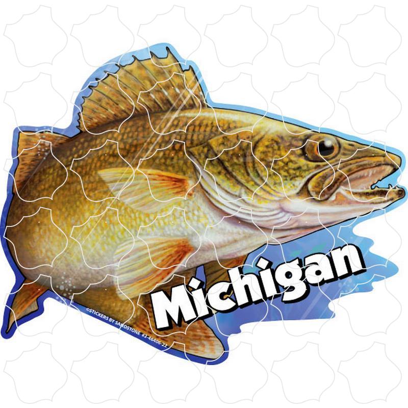 Michigan Walleye Fish