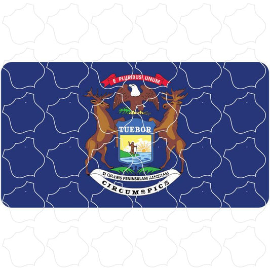 State Flag Michigan Flag