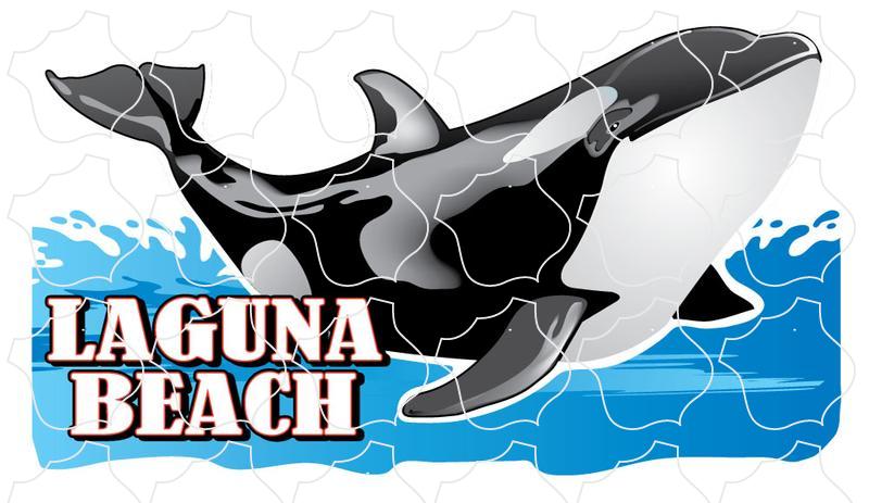 Laguna Beach Orca Killer Whale