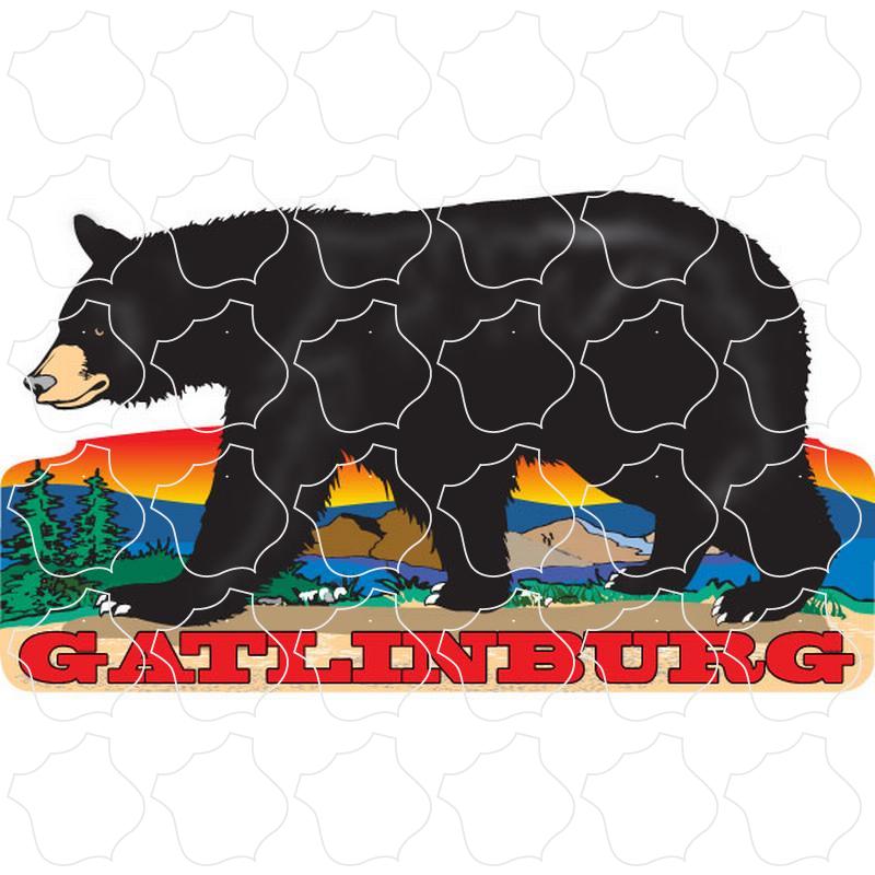 Gatlinburg Walking Black Bear