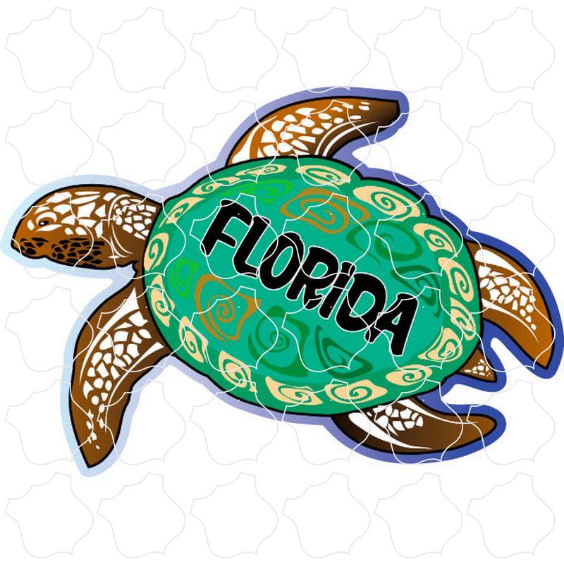 Florida Geen Sea Turtle