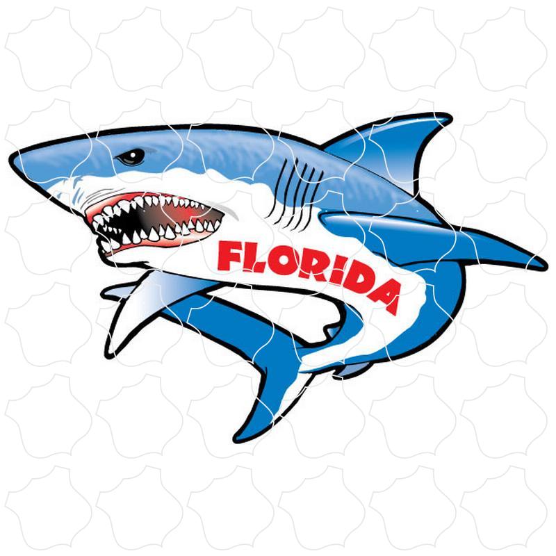 Florida Shark Full View