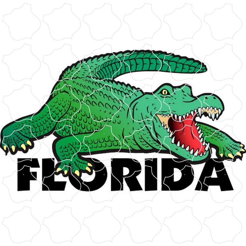 Alligator Florida Alligator