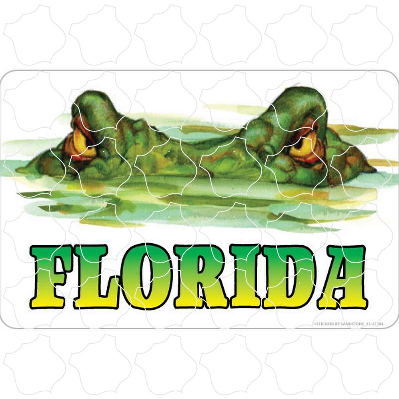 Florida Alligator Eyes