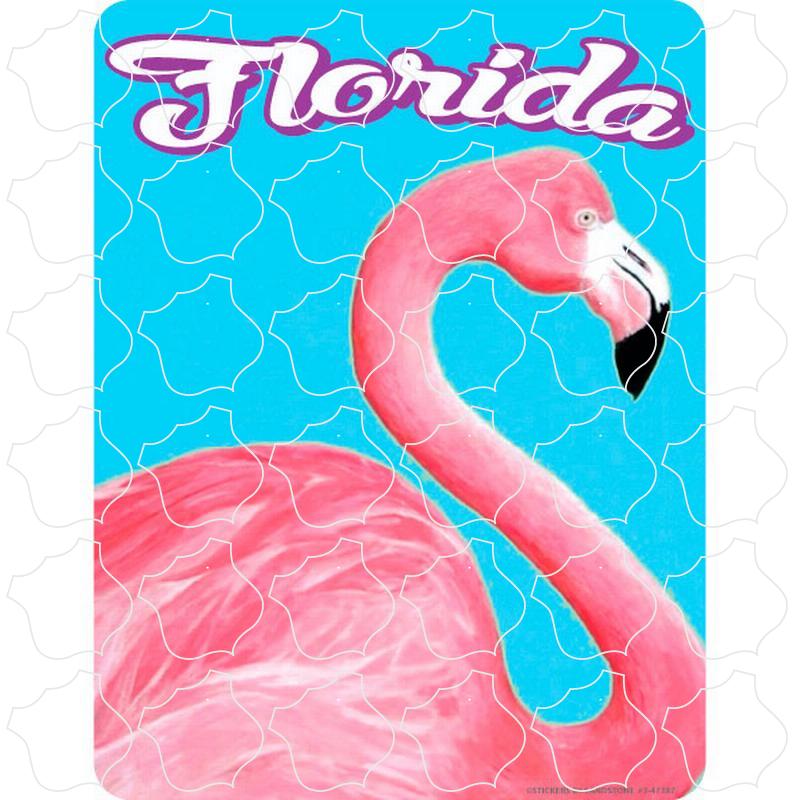 Flamingo Florida Flamingo