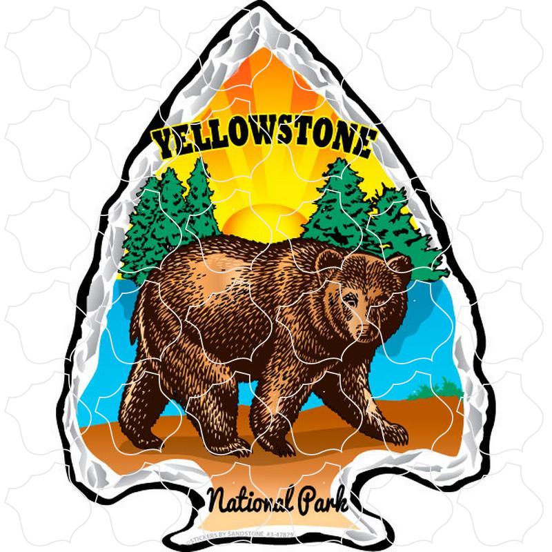 Yellowstone National Park Brown Bear Arrowhead