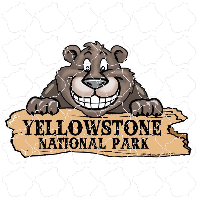 Yellowstone Smiling Bear