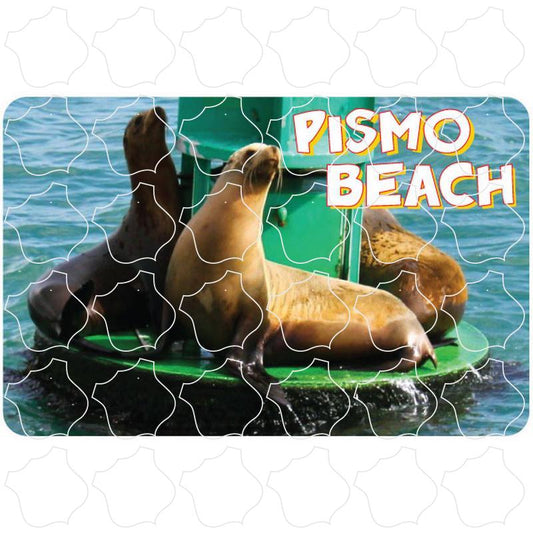 Pismo Beach, CA Sea Lion Photo