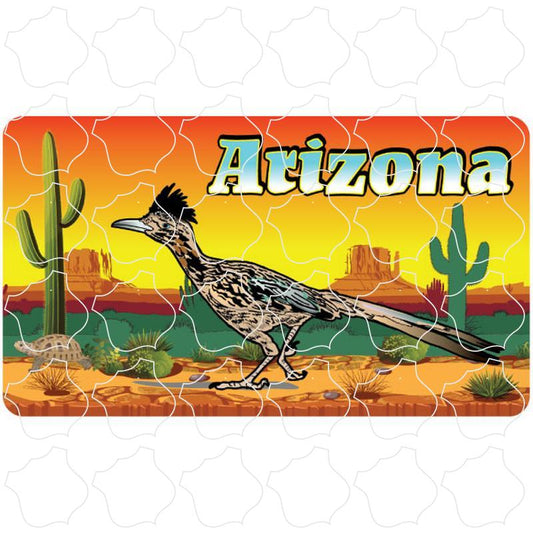 Arizona Roadrunner Desert Scene