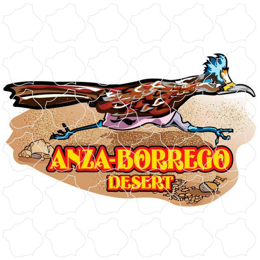 Anza-Borrego Desert Roadrunner