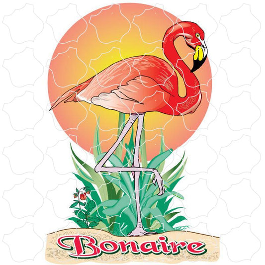 Bonaire Flamingo Sun