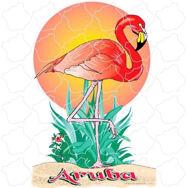 Aruba Flamingo Sun