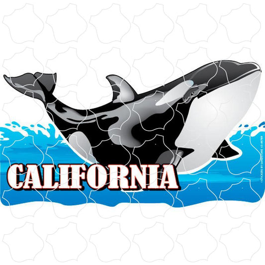 California Orca