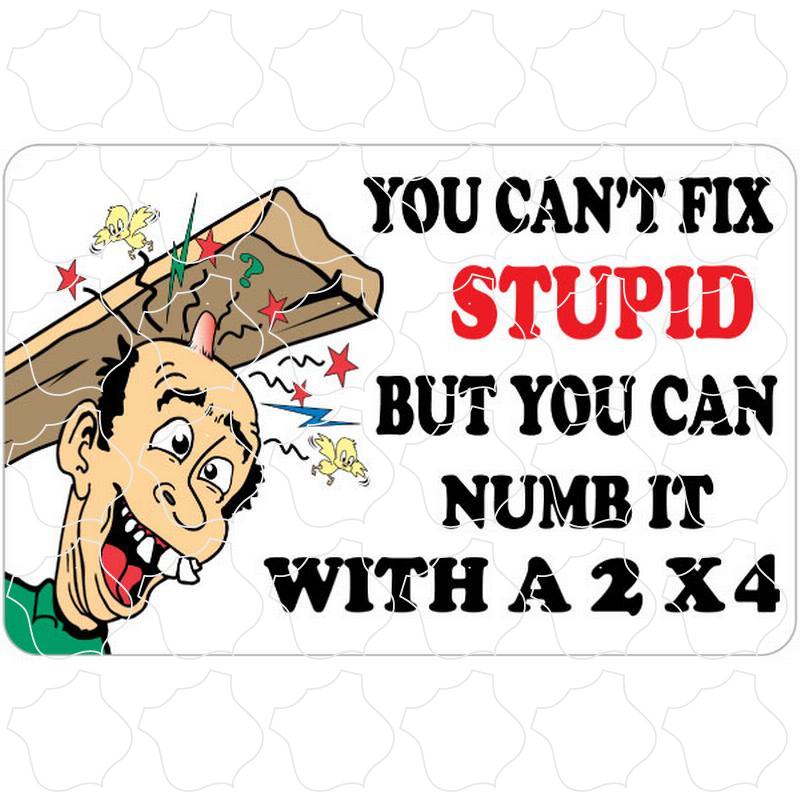 You Cant Fix Stupid You Cant Fix Stupid But you can numb it with a 2x4