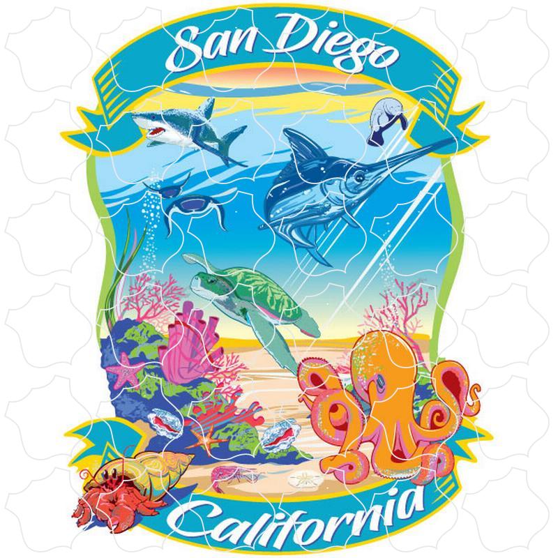 San Diego, CA Underwater Sea Life
