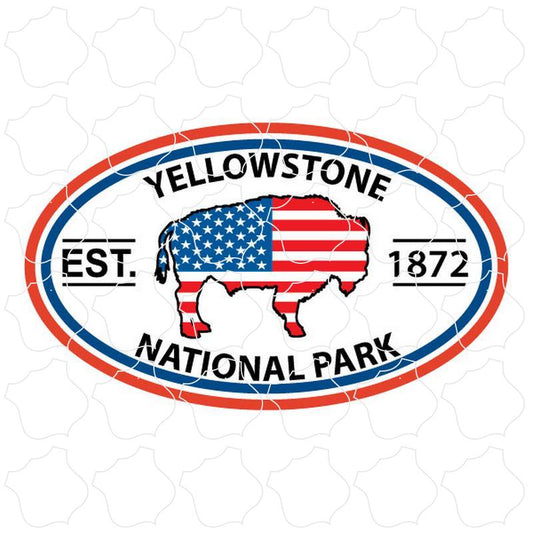 Yellowstone National Park Stars and Stripes Bison