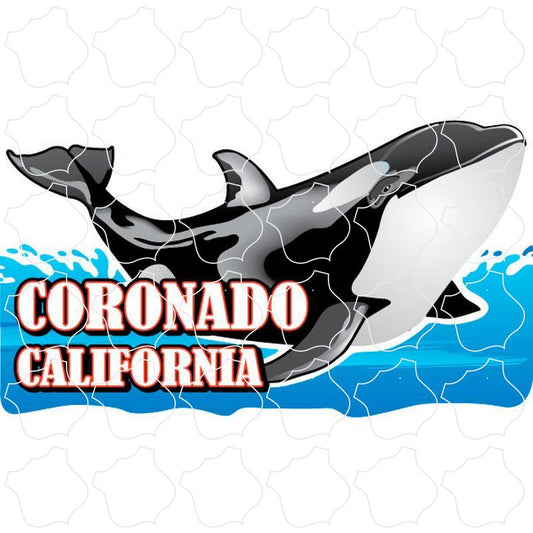 Coronado, CA Orca