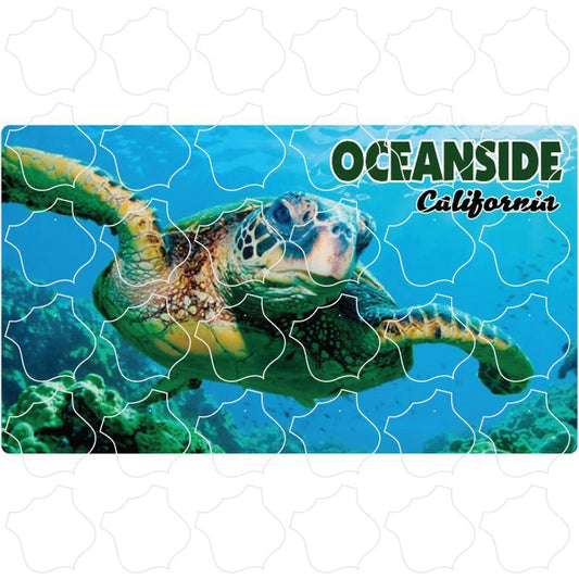 Sea Turtle Photo Oceanside, CA Sea Turtle Photo