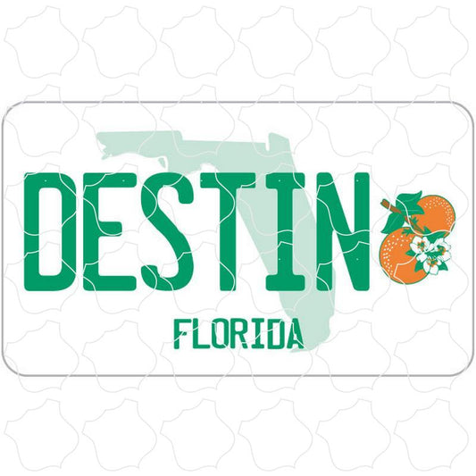 Florida License Plate Destinm FL License Plate