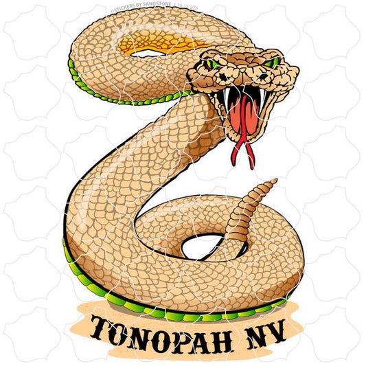 Tonopah, NV Rattlesnake