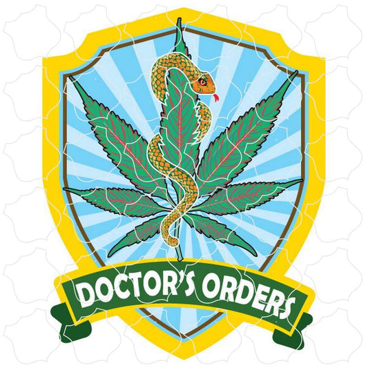 Novelty Doctors Orders