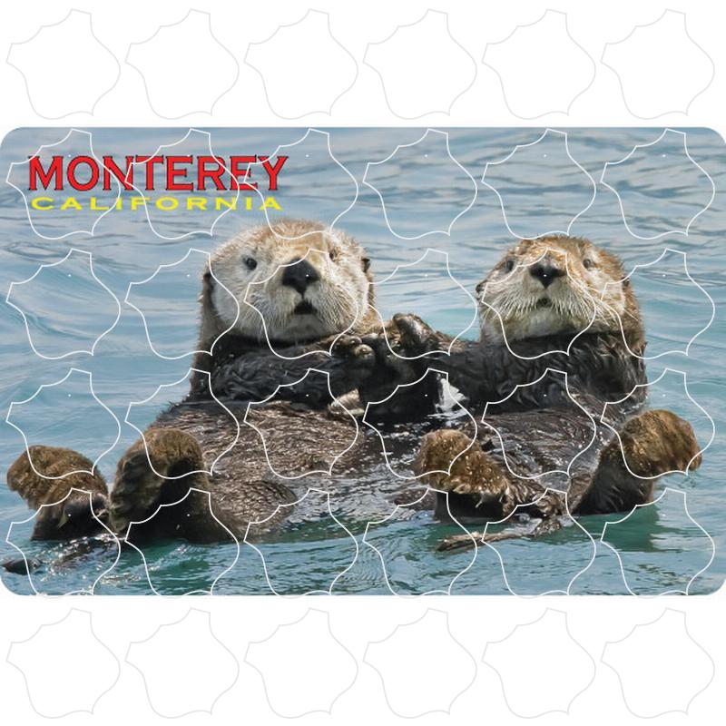 Monterey, California Otter Photo