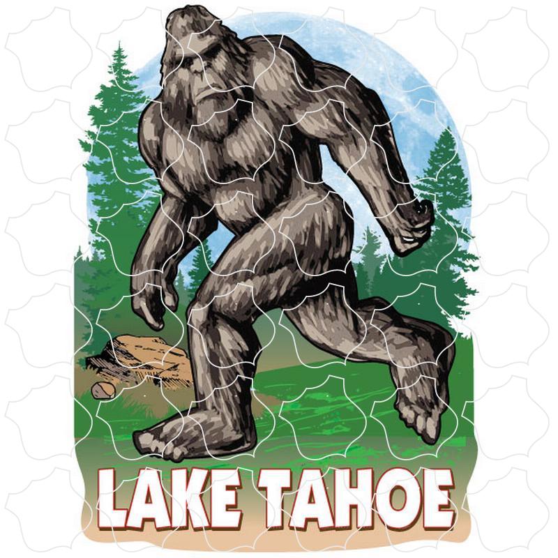 Lake Tahoe Bigfoot In The Woods