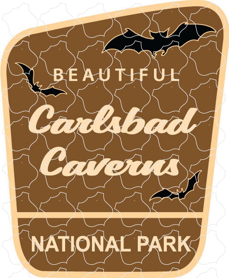 Carlsbad Caverns National Park Brown Angle Sign with Bats